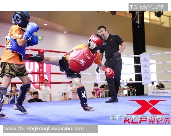 一龙与海耶斯巅峰对决谁将成为搏击界的新王者 一龙与海耶斯巅峰对决谁将成为搏击界的新王者